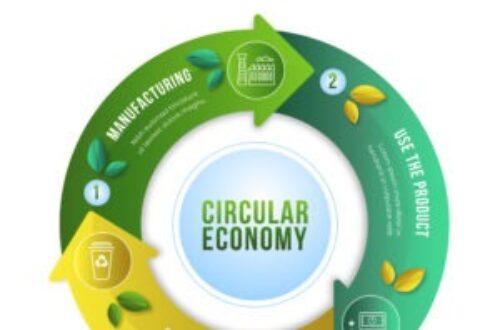 Article : Dix actions pour lutter contre le changement climatique : #6 Passer de l’économie linéaire à l’économie circulaire